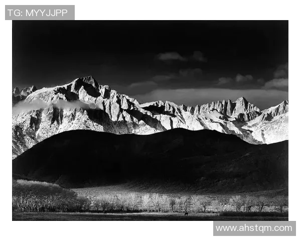 亚当斯的传奇人生与影响力探讨：从历史到现代的深刻启示与反思