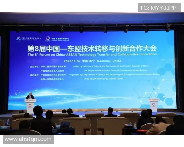 努涅斯在赛场上的崛起之路与未来发展潜力分析