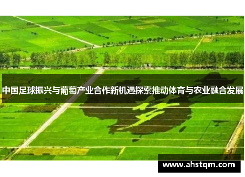 中国足球振兴与葡萄产业合作新机遇探索推动体育与农业融合发展