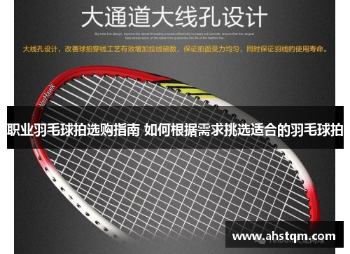 职业羽毛球拍选购指南 如何根据需求挑选适合的羽毛球拍