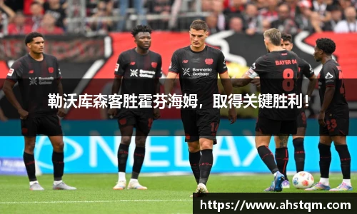 勒沃库森客胜霍芬海姆，取得关键胜利！